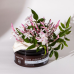 APIVITA PURE JASMINE BODY SCRUB (EUPHORIA) WITH WHITE TEA & JASMINE 200ml