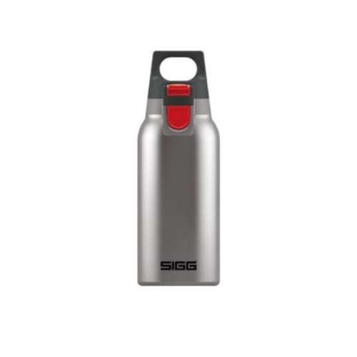 SIGG HOT&COLD ONE BRUSHED 0.3L