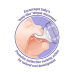 LANSINOH NATURAL WAVE MEDIUM FLOW TEATS