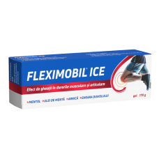FLEXIMOBIL ICE GEL 100G       