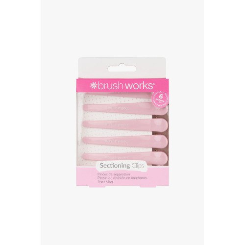 BRUSHWORKS SECTIONING CLIPS (6 PCS)