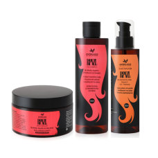 ANAPLASIS HAIR SHINE AND GROWTH PACKAGE (HAIR MASK 300ML, SHAMPOO 250ML, HAIR OIL 200ML)