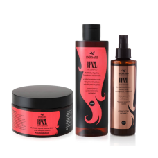 ANAPLASIS HAIR LOSS PACKAGE (HAIR MASK 300ML, SHAMPOO 250ML, HAIR OIL 100ML)