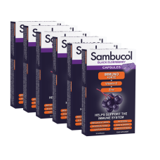 SAMBUCOL IMMUNE SUPPORT FOR ADULTS (3 MONTHS SUPPLY)