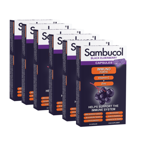 SAMBUCOL IMMUNE SUPPORT FOR ADULTS (3 MONTHS SUPPLY)