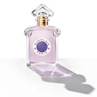 香水(女性用) GUERLAIN INSOLENCE 75ml Eau de Parfum Guerlain Insolence For Women Eau De Parfum 75ml