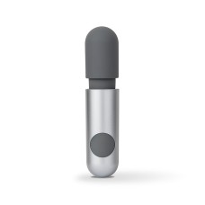 AMMICCO FUTURE PLEASURE