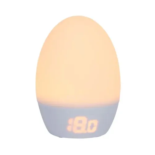TOMMEE TIPPEE GROEGG 2 USB THERMOMETER