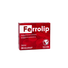 FERROLIP 20 STICKS                                                                                            
