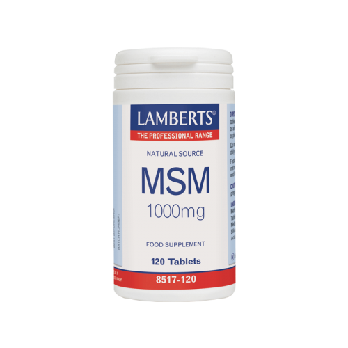LAMBERTS MSM 1000MG