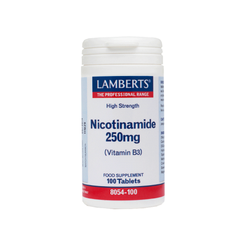 LAMBERTS NICOTINAMIDE VIT B3 250MG 100TABS