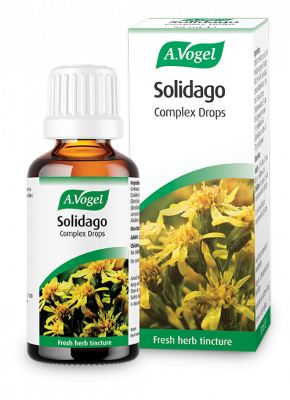 A. VOGEL SOLIDAGO 50ml 